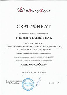 Сертификат ЭГ Амперос